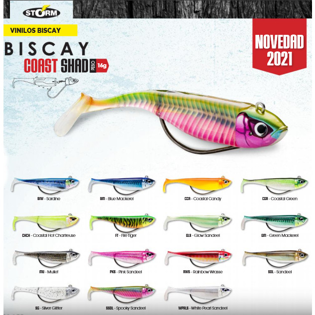Biscay Shad
